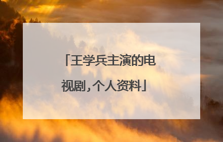 王学兵主演的电视剧,个人资料