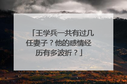 王学兵一共有过几任妻子？他的感情经历有多波折？