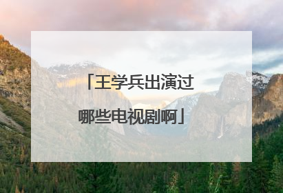 王学兵出演过哪些电视剧啊