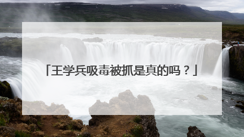 王学兵吸毒被抓是真的吗?