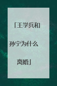 王学兵和孙宁为什么离婚