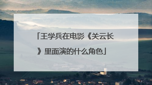 王学兵在电影《关云长》里面演的什么角色