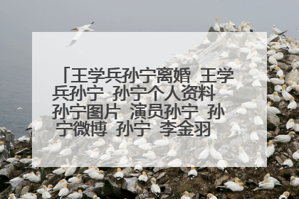 王学兵孙宁离婚 王学兵孙宁 孙宁个人资料 孙宁图片 演员孙宁 孙宁微博 孙宁 李金羽 孙宁离婚 王学兵孙宁
