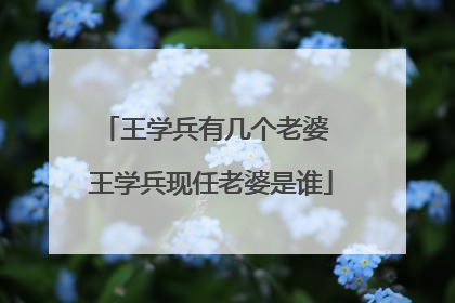 王学兵有几个老婆 王学兵现任老婆是谁