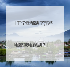王学兵都演了那些电影或电视剧？