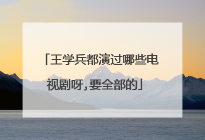 王学兵都演过哪些电视剧呀,要全部的