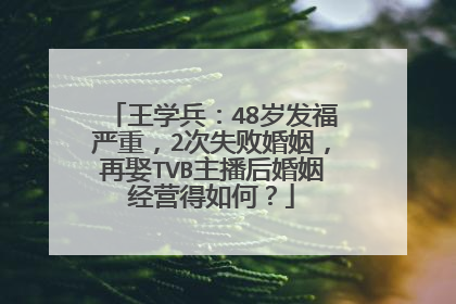 王学兵：48岁发福严重，2次失败婚姻，再娶TVB主播后婚姻经营得如何？