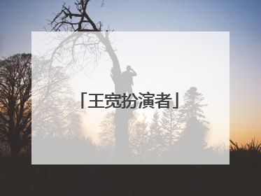 王宽扮演者