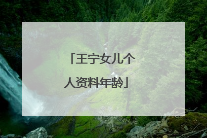王宁女儿个人资料年龄