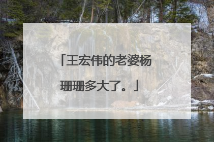 王宏伟的老婆杨珊珊多大了。