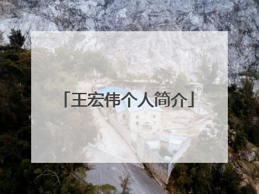 王宏伟个人简介