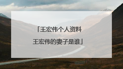 王宏伟个人资料 王宏伟的妻子是谁