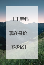 王宝强现在身价多少亿