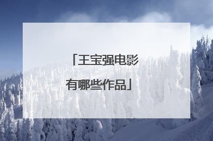 王宝强电影有哪些作品