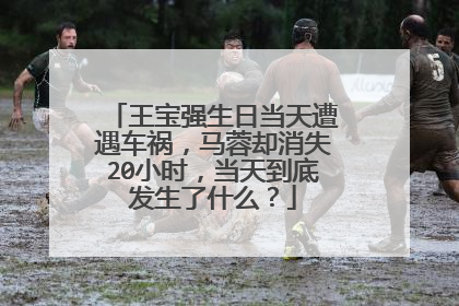 王宝强生日当天遭遇车祸,马蓉却消失20小时,当天到底发生了什么?
