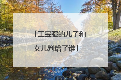 王宝强的儿子和女儿判给了谁