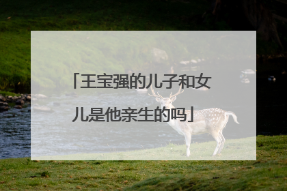 王宝强的儿子和女儿是他亲生的吗