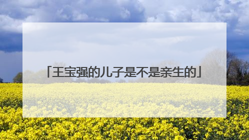 王宝强的儿子是不是亲生的