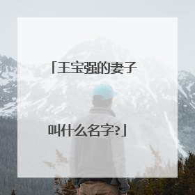 王宝强的妻子叫什么名字?