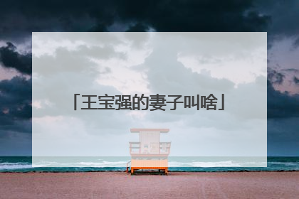 王宝强的妻子叫啥