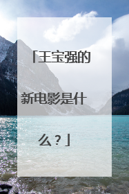 王宝强的新电影是什么?