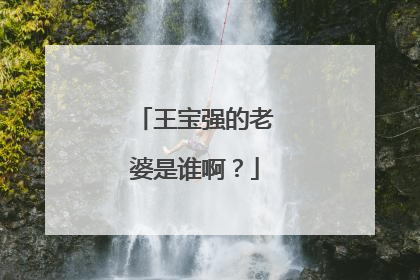王宝强的老婆是谁啊？
