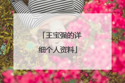 王宝强的详细个人资料