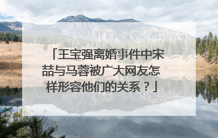 王宝强离婚事件中宋喆与马蓉被广大网友怎样形容他们的关系?