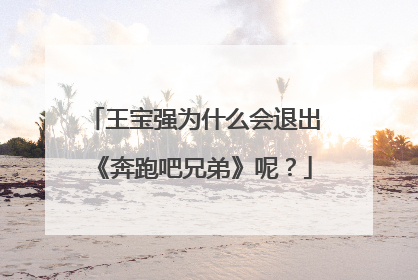 王宝强为什么会退出《奔跑吧兄弟》呢？