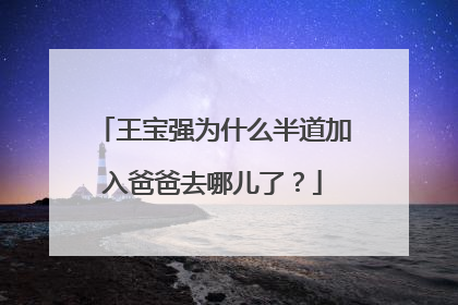 王宝强为什么半道加入爸爸去哪儿了?
