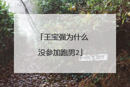 王宝强为什么没参加跑男2