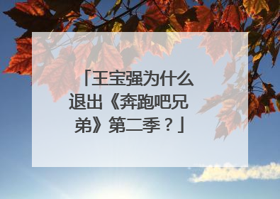 王宝强为什么退出《奔跑吧兄弟》第二季？