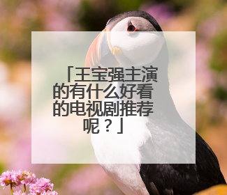 王宝强主演的有什么好看的电视剧推荐呢？