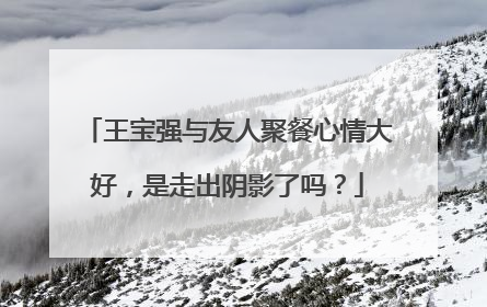 王宝强与友人聚餐心情大好,是走出阴影了吗?