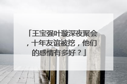 王宝强叶璇深夜聚会，十年友谊被挖，他们的感情有多好？