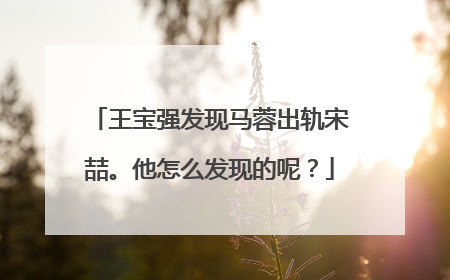 王宝强发现马蓉出轨宋喆。他怎么发现的呢？
