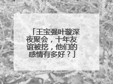 王宝强叶璇深夜聚会,十年友谊被挖,他们的感情有多好?