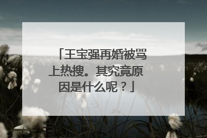 王宝强再婚被骂上热搜。其究竟原因是什么呢?