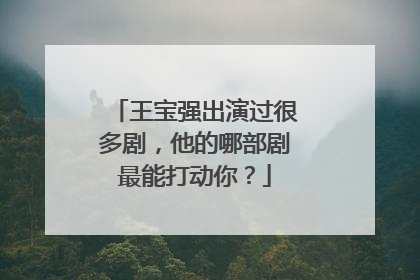 王宝强出演过很多剧,他的哪部剧最能打动你?