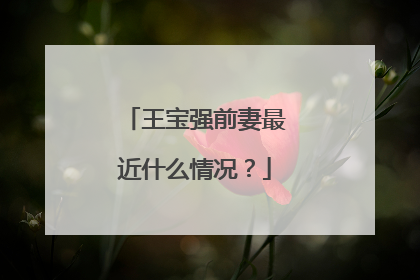 王宝强前妻最近什么情况？