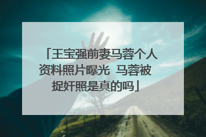 王宝强前妻马蓉个人资料照片曝光 马蓉被捉奸照是真的吗