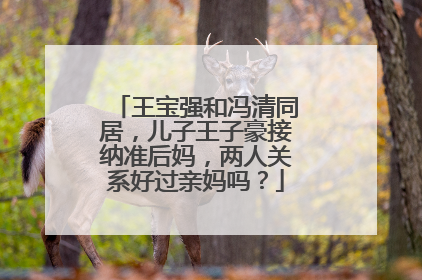 王宝强和冯清同居，儿子王子豪接纳准后妈，两人关系好过亲妈吗？