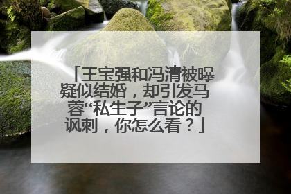 王宝强和冯清被曝疑似结婚,却引发马蓉“私生子”言论的讽刺,你怎么看?