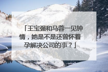 王宝强和马蓉一见钟情,她是不是还曾怀着孕解决公司的事?