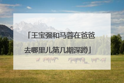 王宝强和马蓉在爸爸去哪里儿第几期深蹲