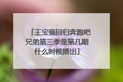 王宝强回归奔跑吧兄弟第三季是第几期什么时候播出