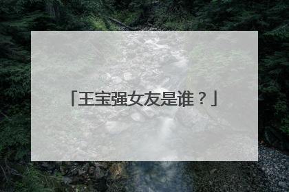 王宝强女友是谁?