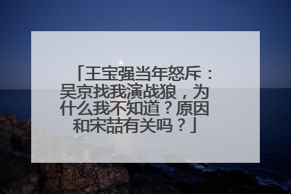 王宝强当年怒斥:吴京找我演战狼,为什么我不知道?原因和宋喆有关吗?