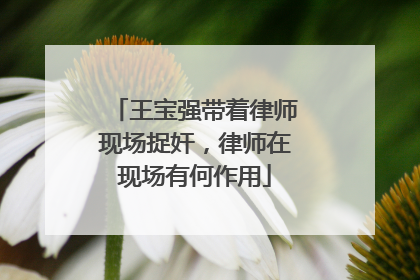 王宝强带着律师现场捉奸，律师在现场有何作用