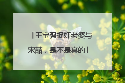 王宝强捉奸老婆与宋喆，是不是真的